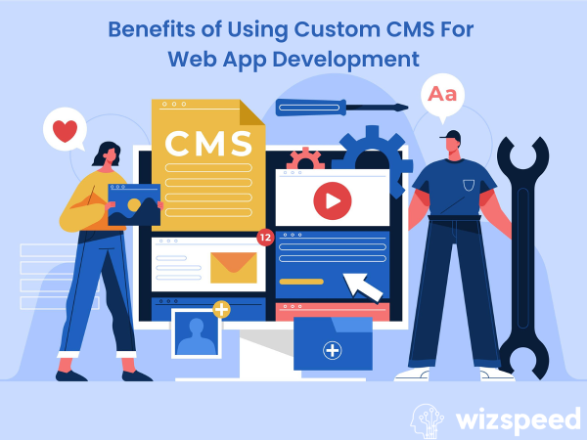 Read more about the article Benefits of Using Custom CMS For Web App Development
