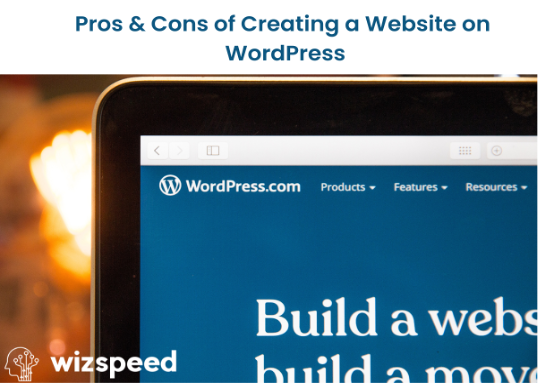Read more about the article Pros and Cons of WordPress Website